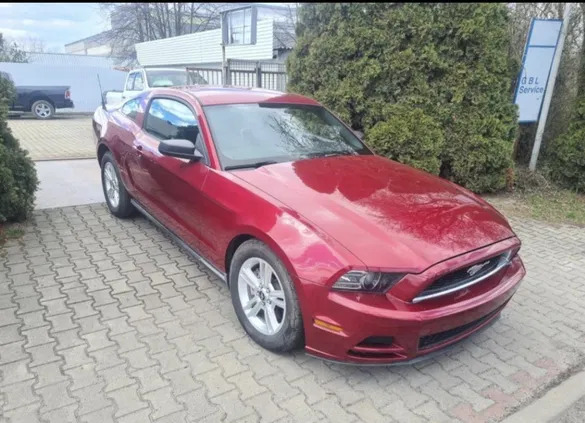 ford mustang śląskie Ford Mustang cena 56800 przebieg: 177900, rok produkcji 2014 z Drobin